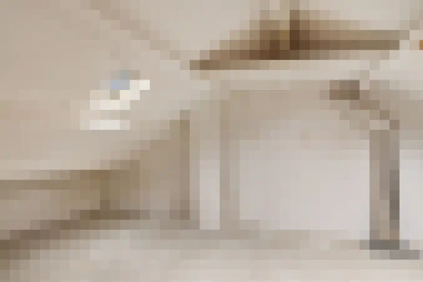 Laan van de Bork 344 Emmen thumbnail 30