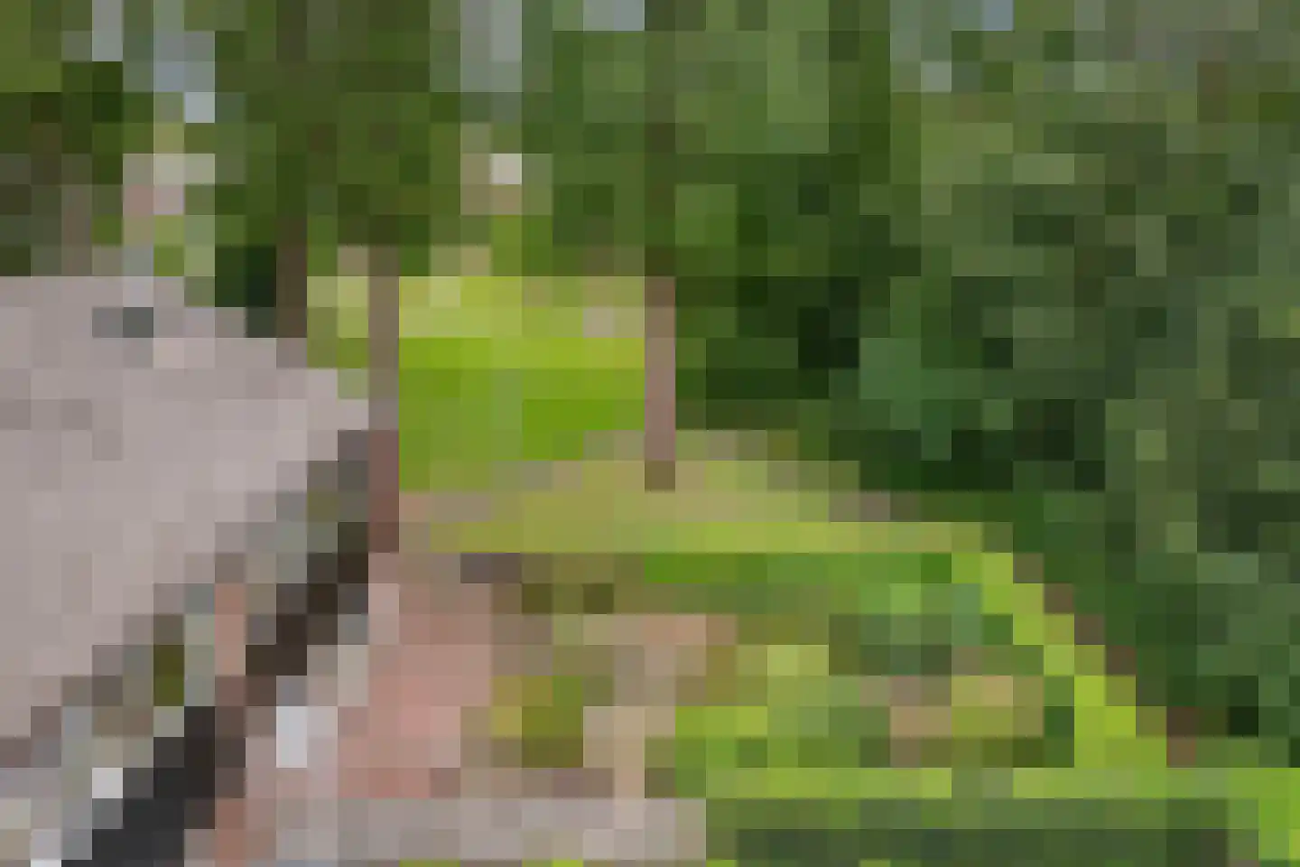Laan van de Bork 344 Emmen thumbnail 32