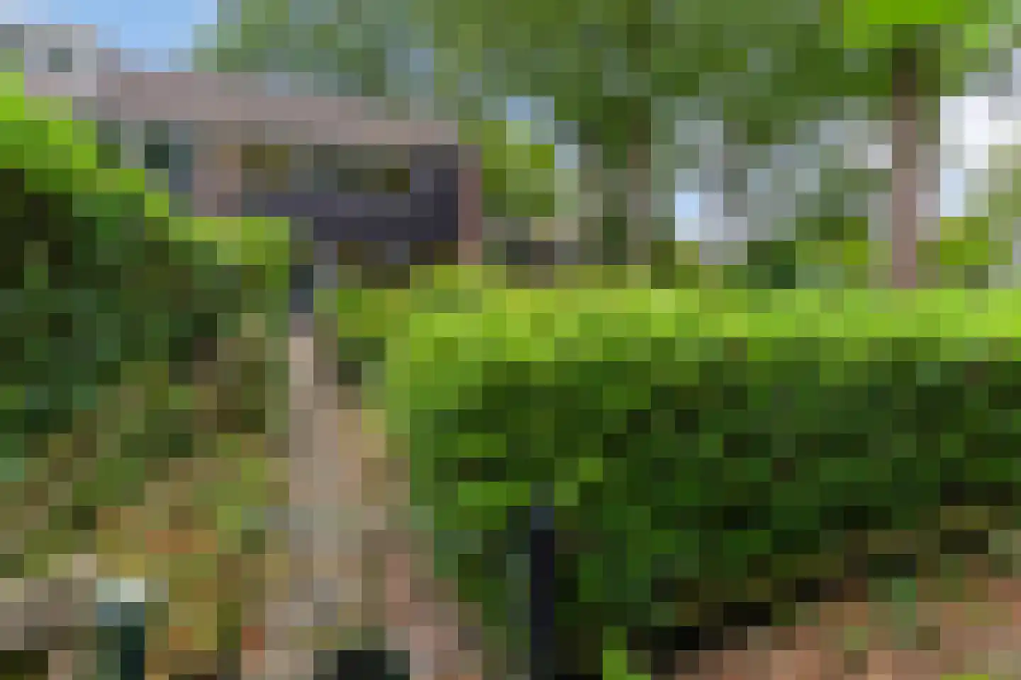 Laan van de Bork 344 Emmen thumbnail 35