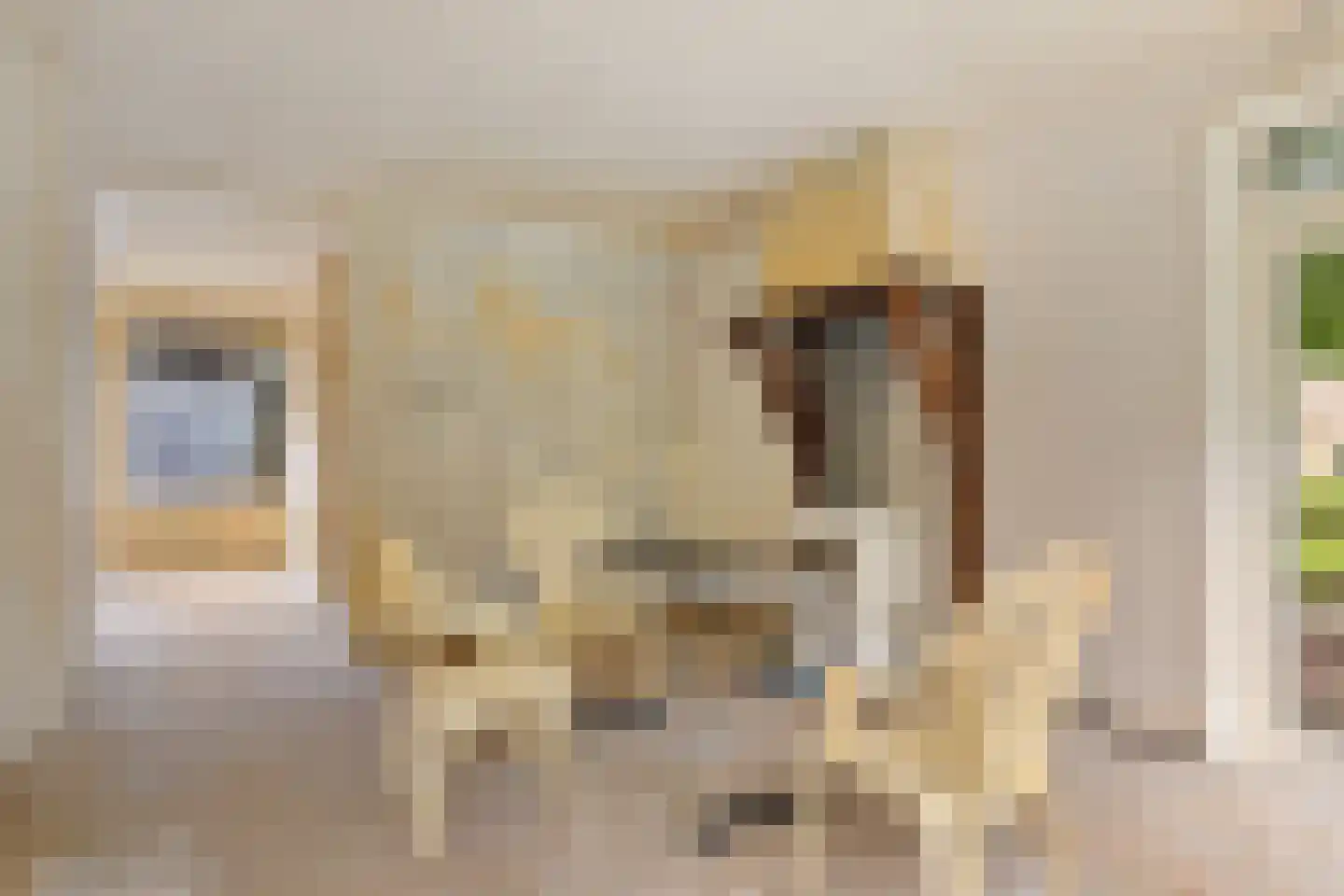 Laan van de Bork 344 Emmen thumbnail 4