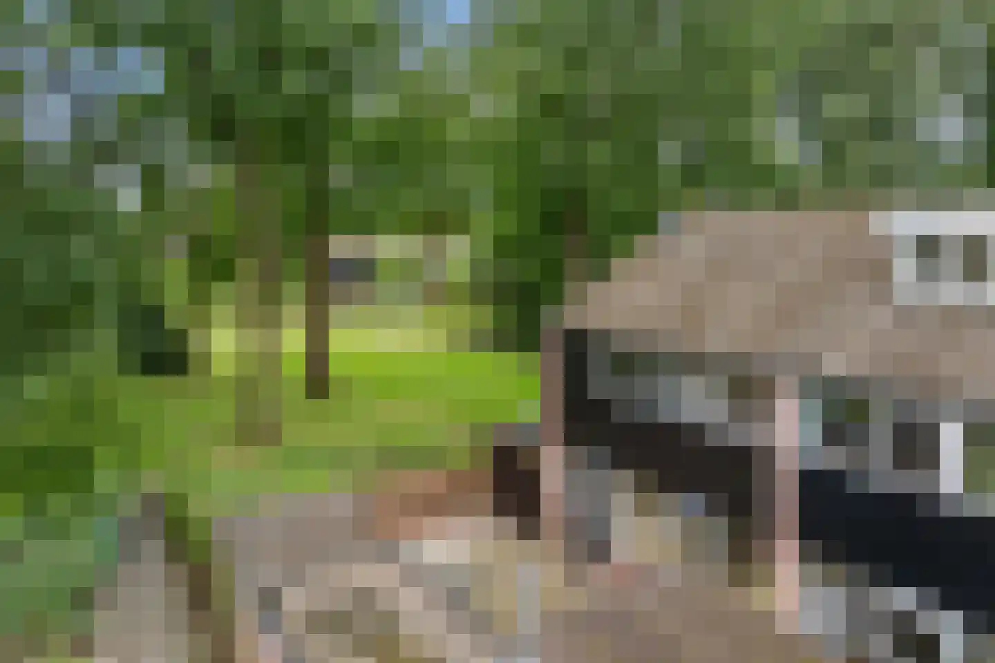 Laan van de Bork 344 Emmen thumbnail 40