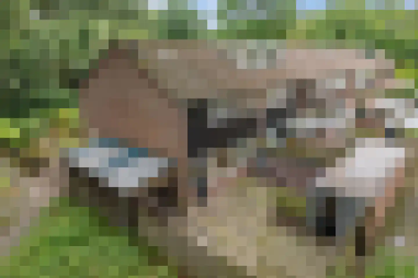 Laan van de Bork 344 Emmen thumbnail 41
