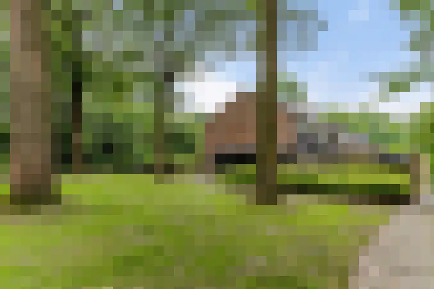 Laan van de Bork 344 Emmen thumbnail 42