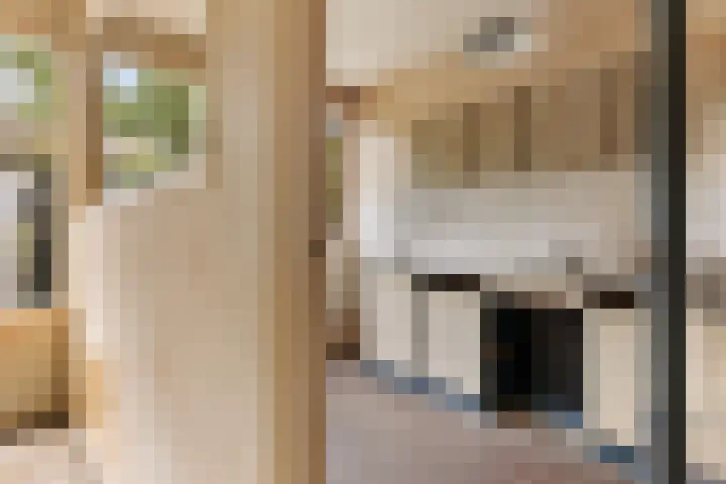 Laan van de Bork 344 Emmen thumbnail 7