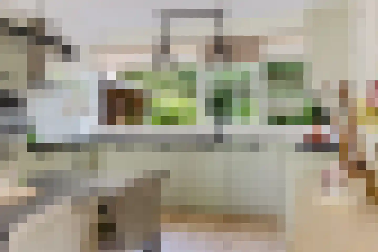 Laan van de Bork 368 Emmen thumbnail 15