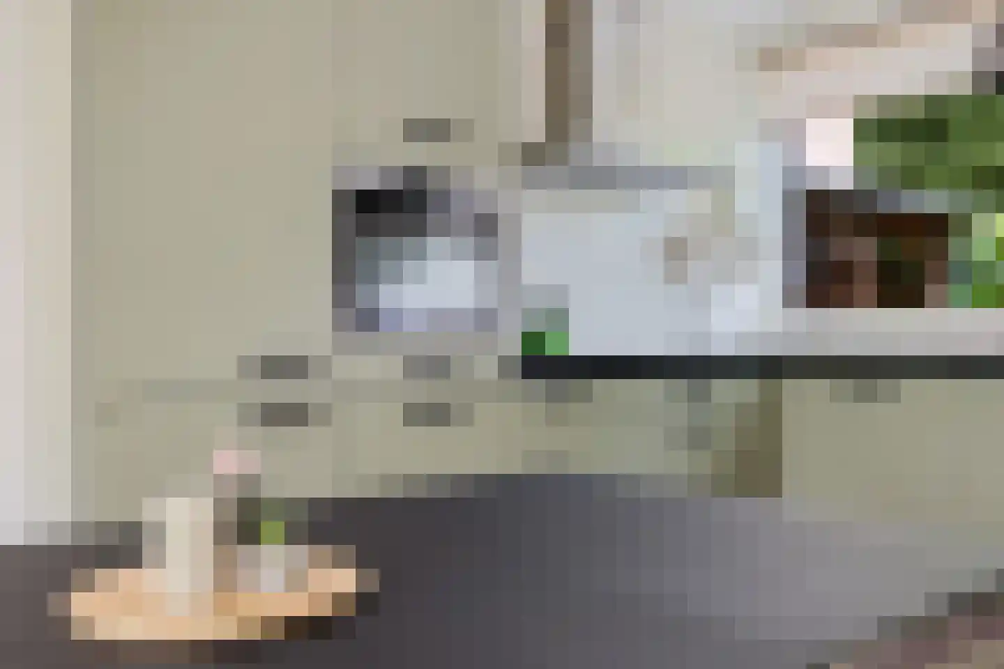 Laan van de Bork 368 Emmen thumbnail 18