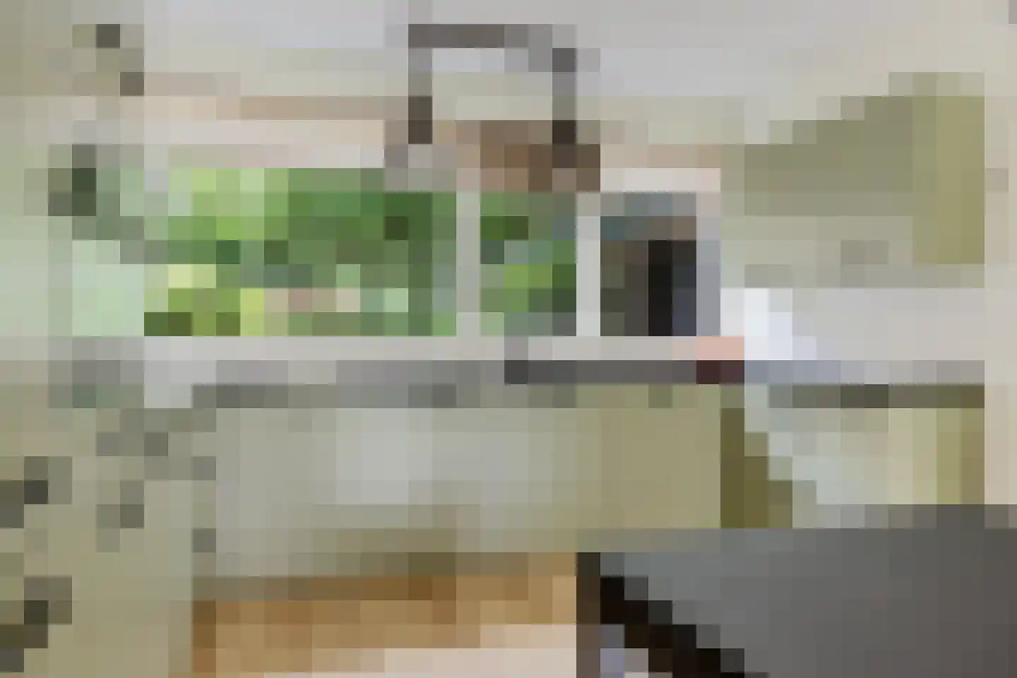 Laan van de Bork 368 Emmen thumbnail 20
