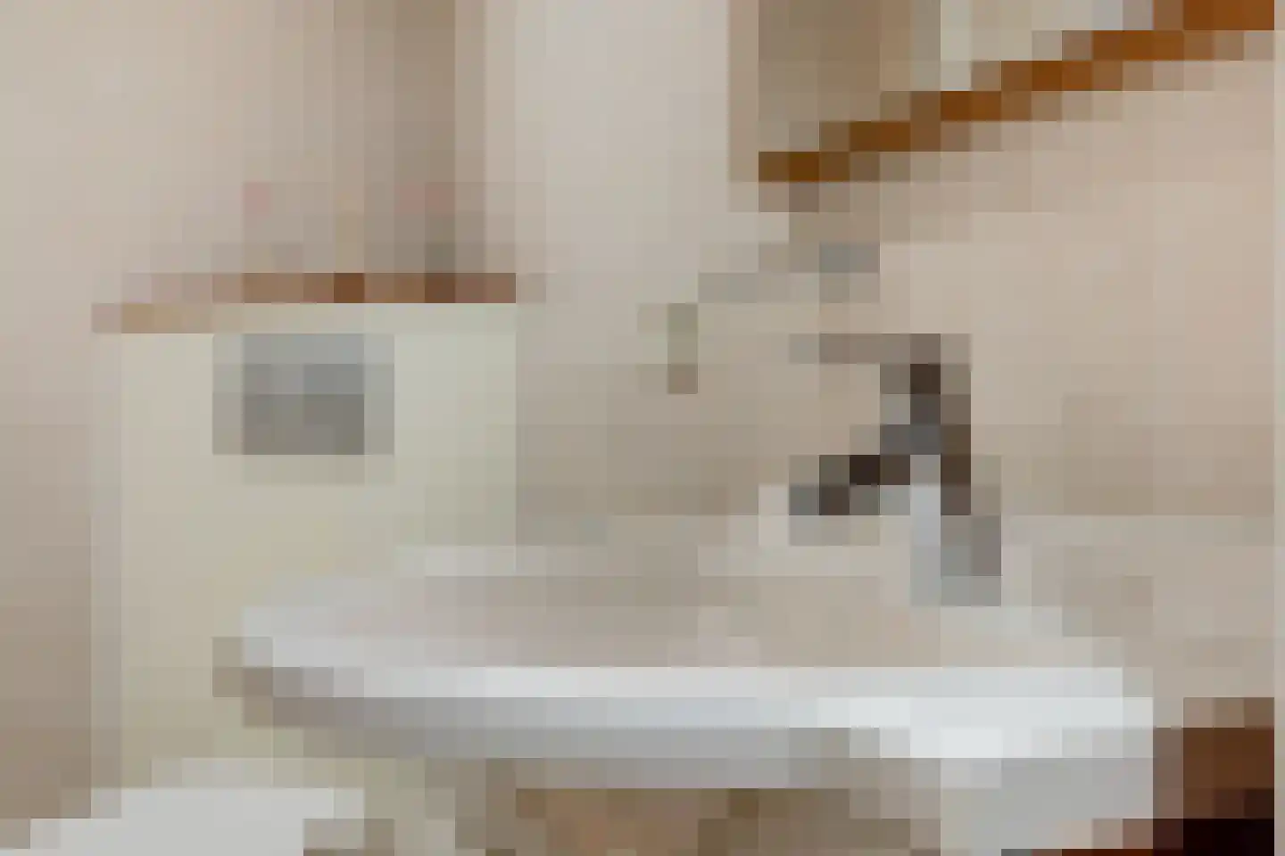 Laan van de Bork 368 Emmen thumbnail 32