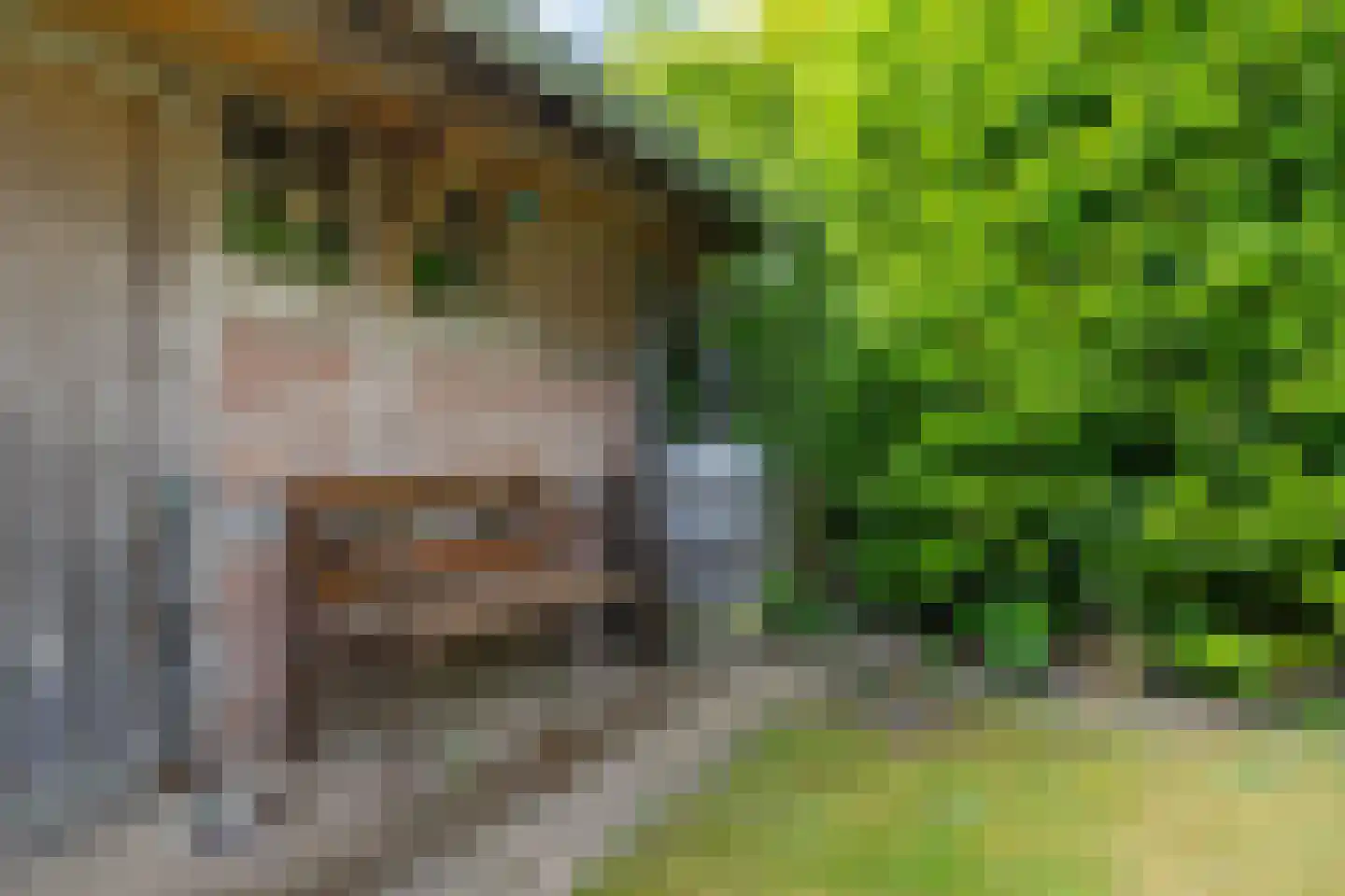 Laan van de Bork 368 Emmen thumbnail 43