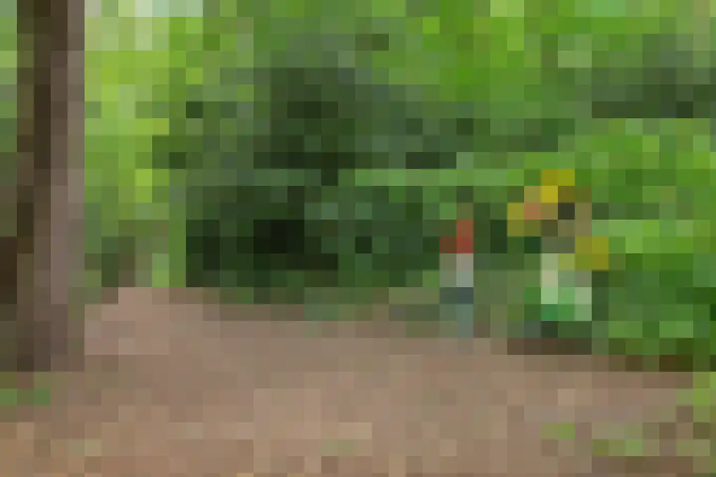 Laan van de Bork 368 Emmen thumbnail 45