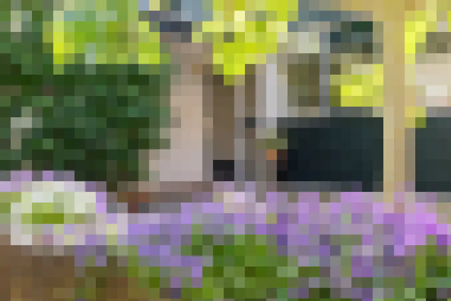 Laan van de Bork 368 Emmen thumbnail 6