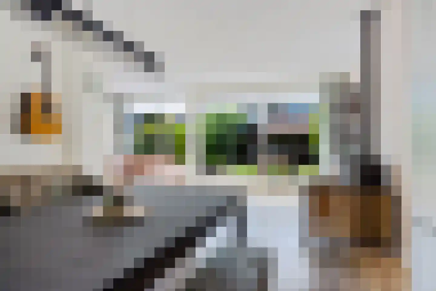Laan van de Bork 368 Emmen thumbnail 8