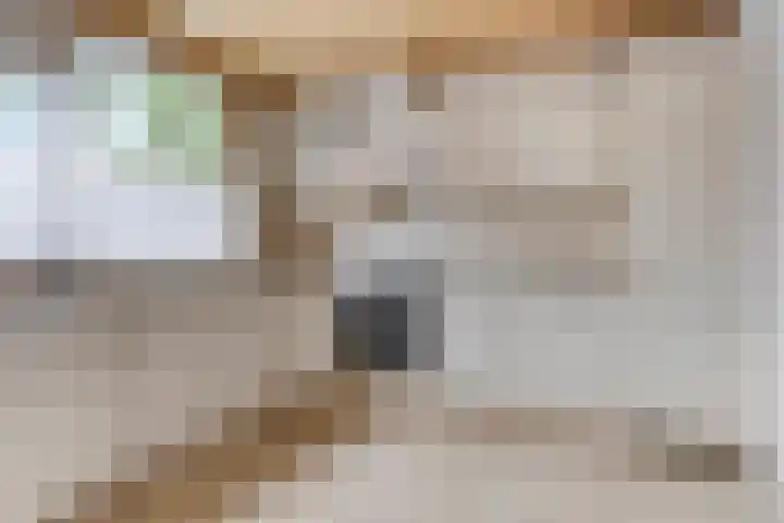 Laan van de Bork 432 Emmen thumbnail 12