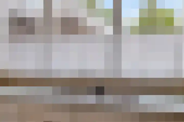 Laan van de Bork 432 Emmen thumbnail 13