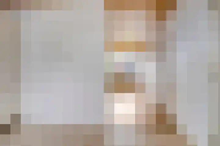 Laan van de Bork 432 Emmen thumbnail 14