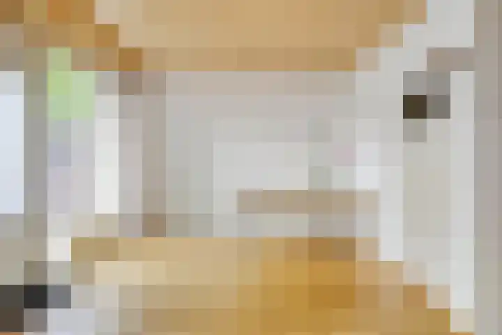 Laan van de Bork 432 Emmen thumbnail 17