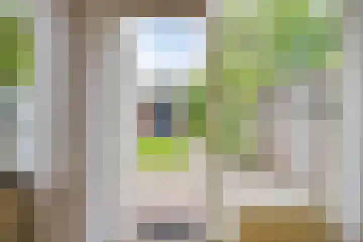 Laan van de Bork 432 Emmen thumbnail 18