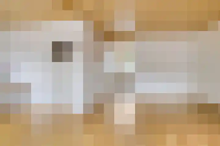 Laan van de Bork 432 Emmen thumbnail 20