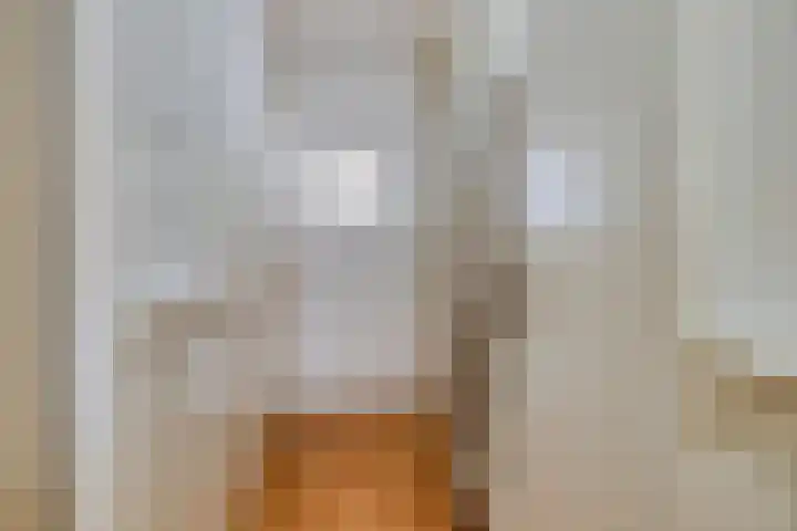 Laan van de Bork 432 Emmen thumbnail 22