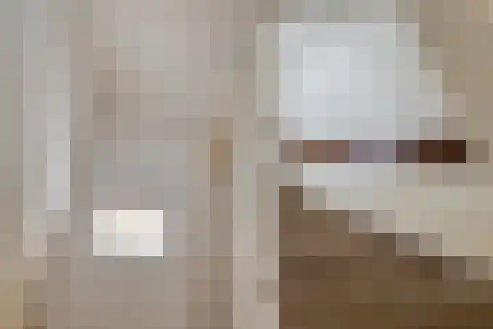 Laan van de Bork 432 Emmen thumbnail 23