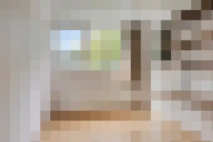 Laan van de Bork 432 Emmen thumbnail 26