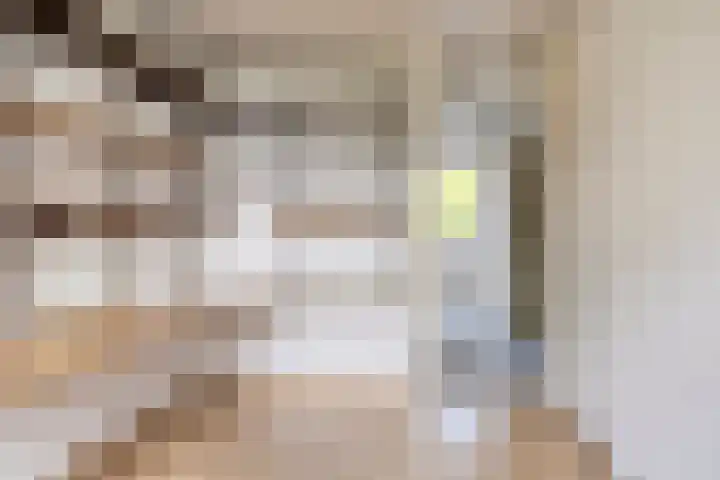 Laan van de Bork 432 Emmen thumbnail 27