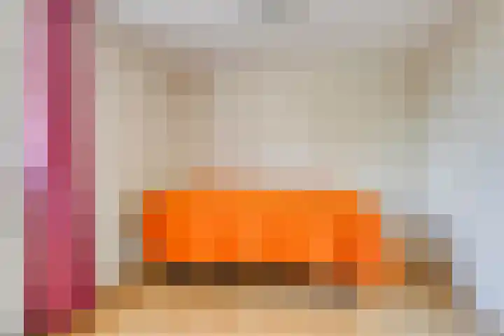 Laan van de Bork 432 Emmen thumbnail 29