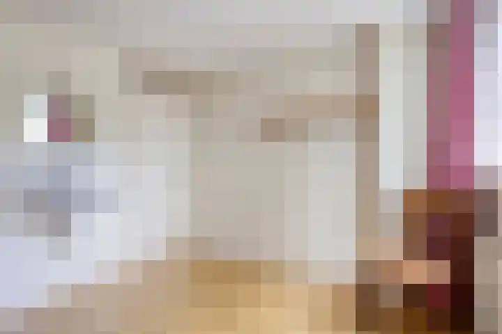 Laan van de Bork 432 Emmen thumbnail 31