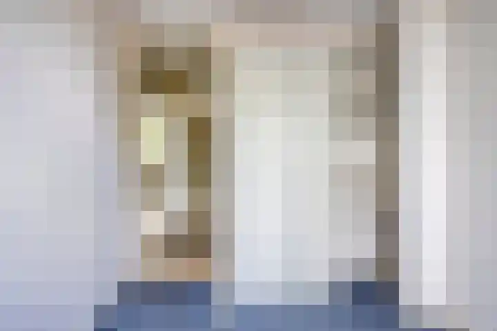 Laan van de Bork 432 Emmen thumbnail 33