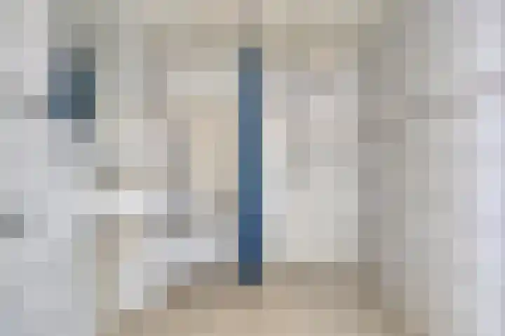 Laan van de Bork 432 Emmen thumbnail 34