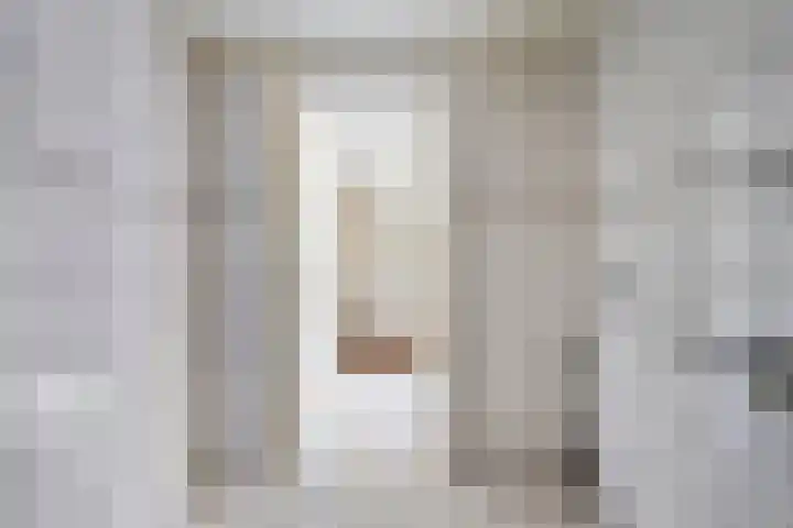 Laan van de Bork 432 Emmen thumbnail 38