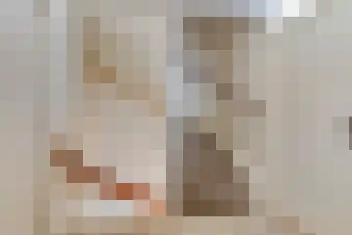 Laan van de Bork 432 Emmen thumbnail 39