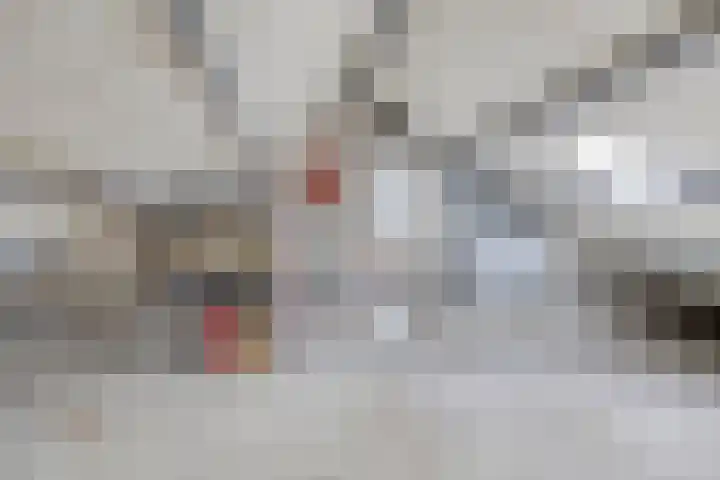 Laan van de Bork 432 Emmen thumbnail 40