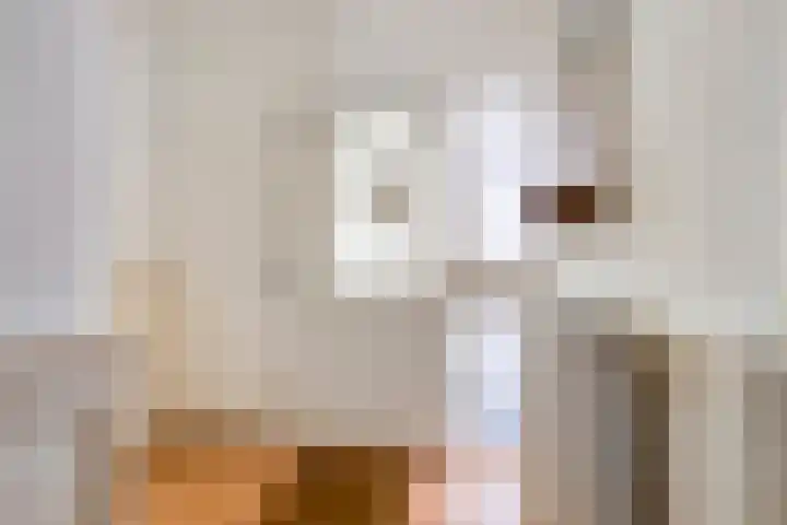Laan van de Bork 432 Emmen thumbnail 43