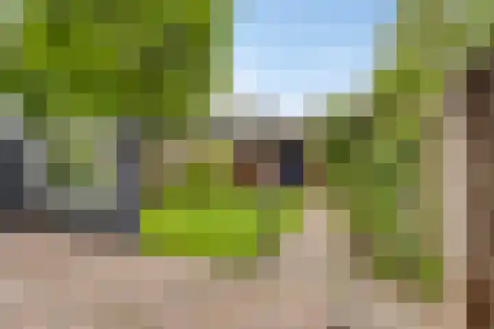 Laan van de Bork 432 Emmen thumbnail 49