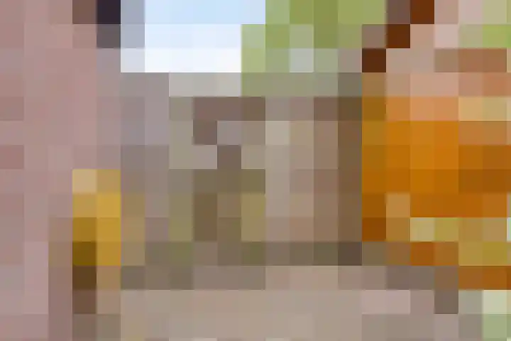 Laan van de Bork 432 Emmen thumbnail 51
