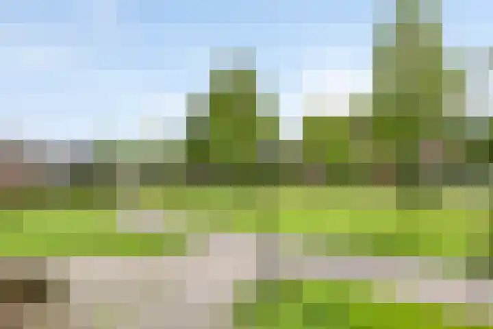 Laan van de Bork 432 Emmen thumbnail 52
