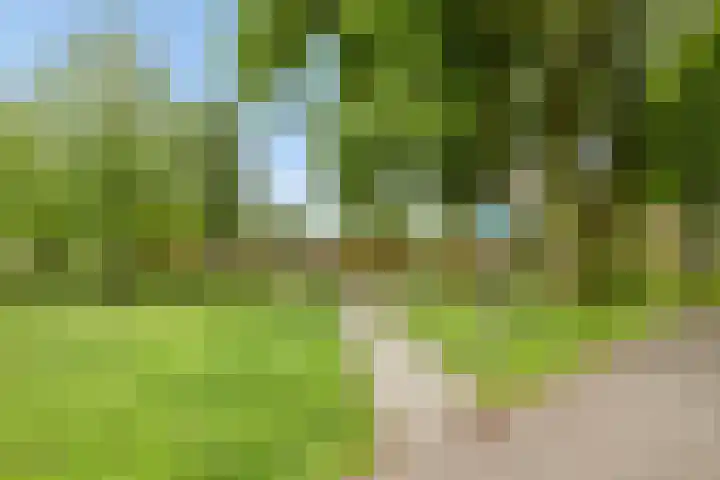 Laan van de Bork 432 Emmen thumbnail 53