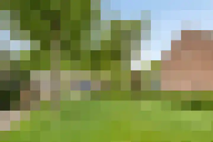 Laan van de Bork 432 Emmen thumbnail 55