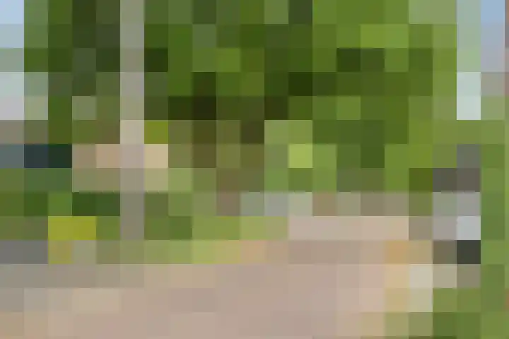 Laan van de Bork 432 Emmen thumbnail 56