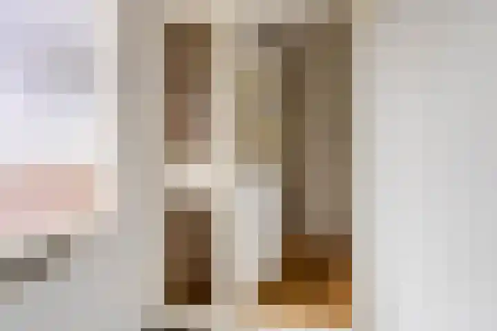 Laan van de Bork 432 Emmen thumbnail 7