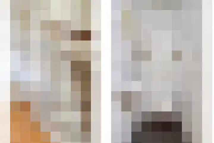 Laan van de Bork 432 Emmen thumbnail 8
