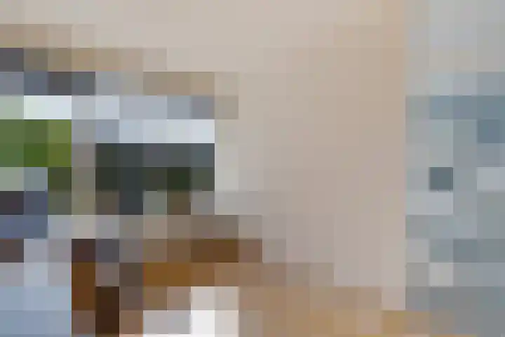 Laan van de Bork 460 Emmen thumbnail 10