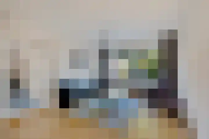 Laan van de Bork 460 Emmen thumbnail 11