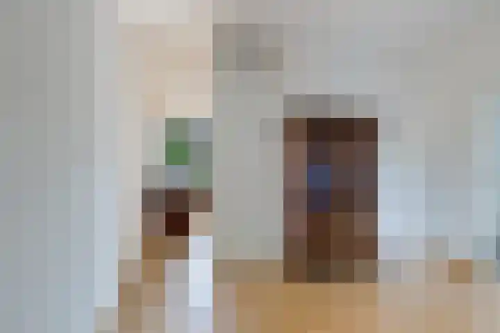 Laan van de Bork 460 Emmen thumbnail 13