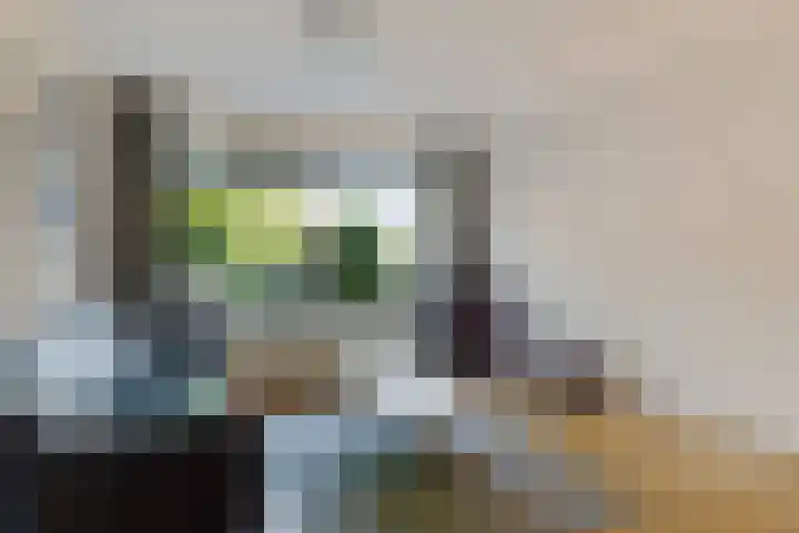Laan van de Bork 460 Emmen thumbnail 14