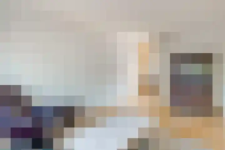 Laan van de Bork 460 Emmen thumbnail 15