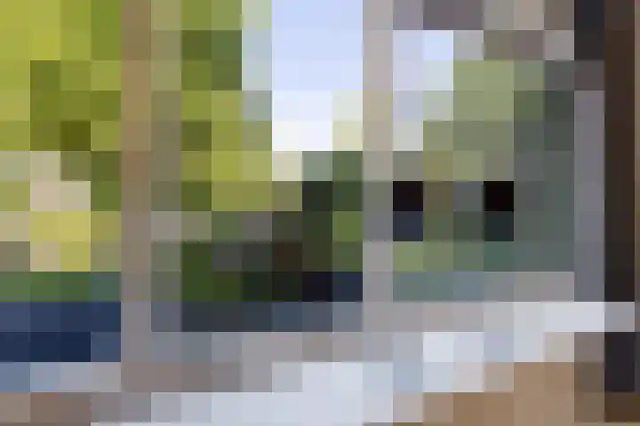 Laan van de Bork 460 Emmen thumbnail 16