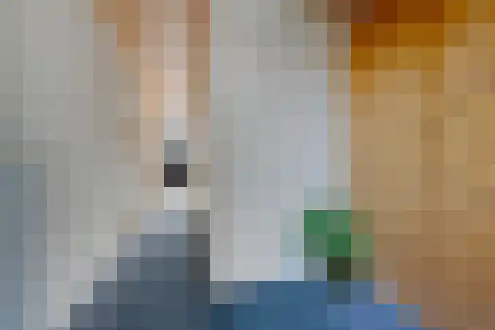 Laan van de Bork 460 Emmen thumbnail 17
