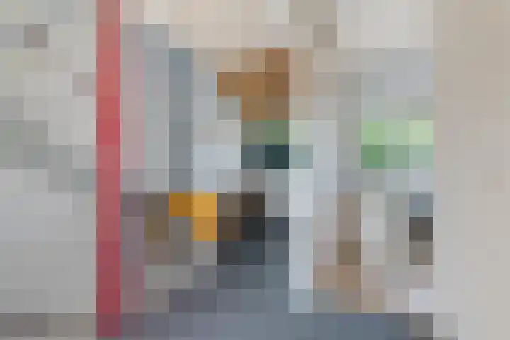 Laan van de Bork 460 Emmen thumbnail 18